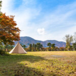 庭の人工芝を長持ちさせる掃除とお手入れ方法