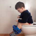 トイレの換気扇に溜まったホコリを落とす掃除の手順